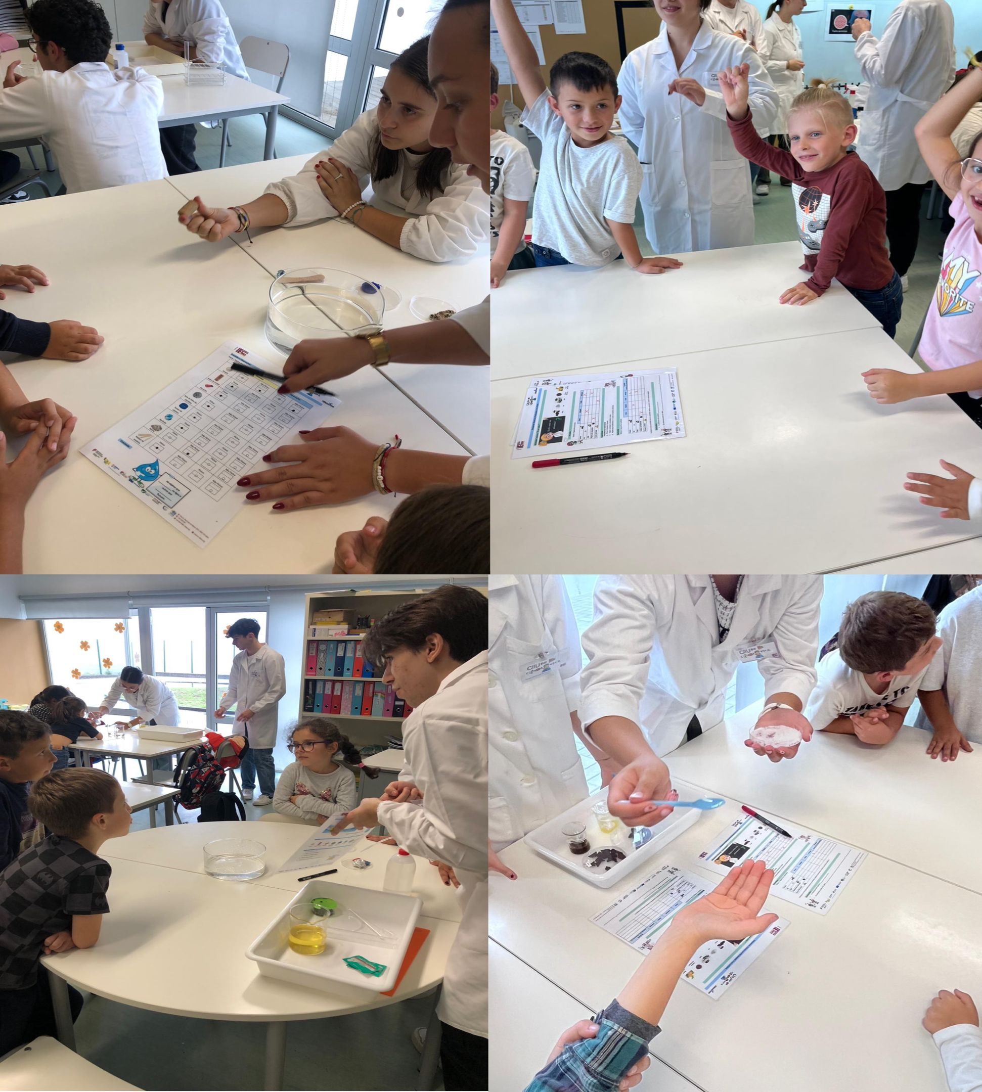 Despertar Ciência no Pré-escolar e no 1º Ciclo